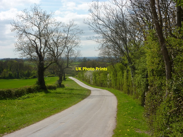 Photo 6"x4" Looking down Whinleys Road Clarborough c2010