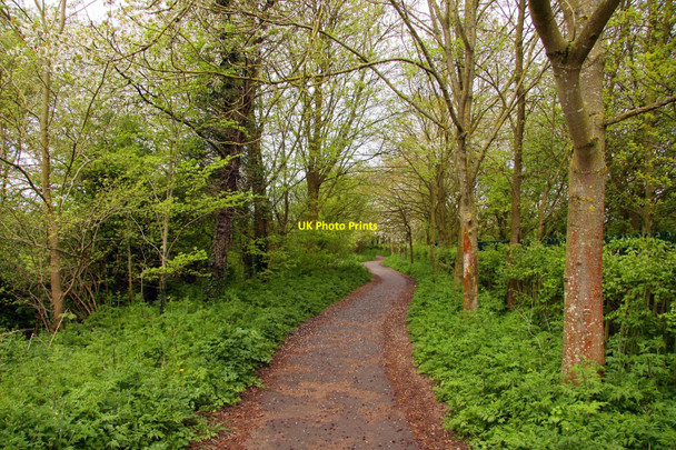 Photo 6"x4" Footpath to Cogges Manor Farm Museum Witney c2010