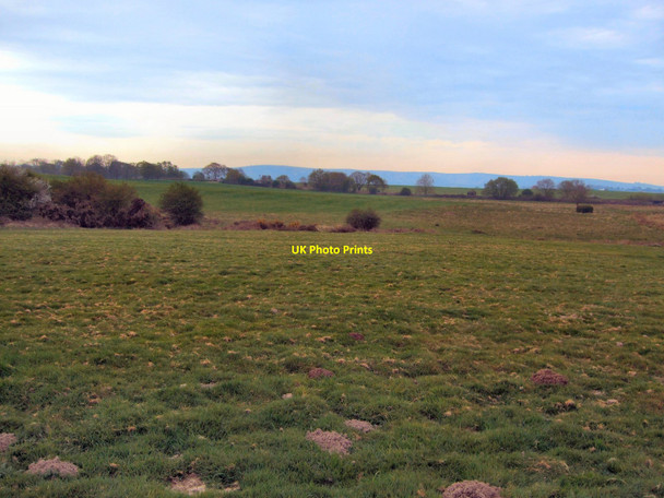 Photo 6"x4" Ditchling Common Burgess Hill c2010