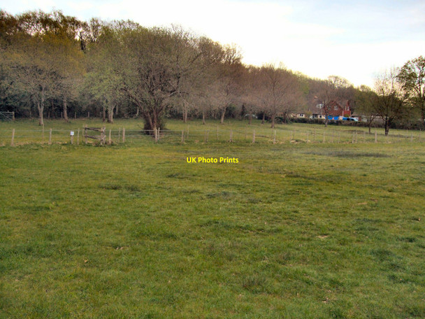 Photo 6"x4" Ditchling Common Burgess Hill c2010 P1