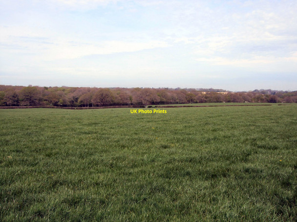 Photo 6"x4" Field near St Helena Farm Wivelsfield Green c2010
