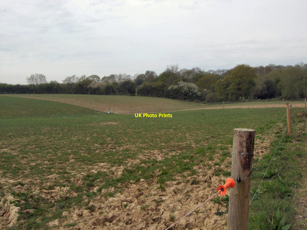 Photo 6"x4" Field south of Wivelsfield Green Wivelsfield Green c2010