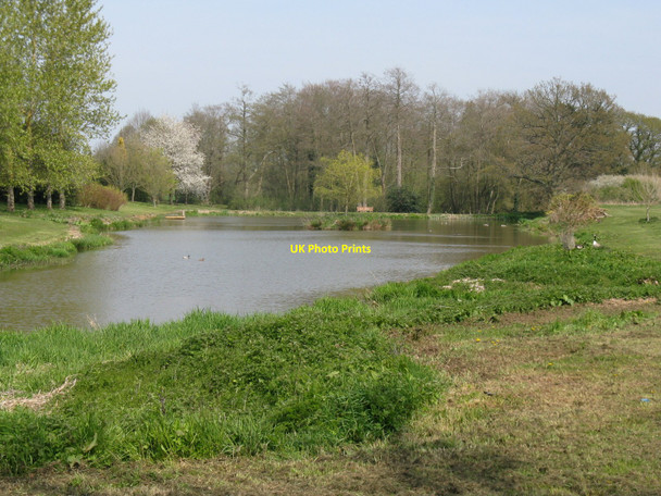 Photo 6"x4" Easterly of two ponds at Malham Newpound Common c2010