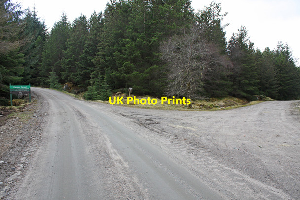Photo 6"x4" Junction in Corrour Forest Torgulbin c2010