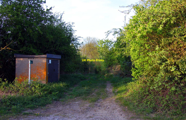 Photo 6"x4" Footpath to Horspath Blenheim\/SP5702 c2010