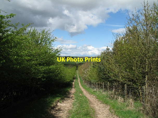 Photo 6"x4" Farm Road with Public Footpath Hedley Hill c2010