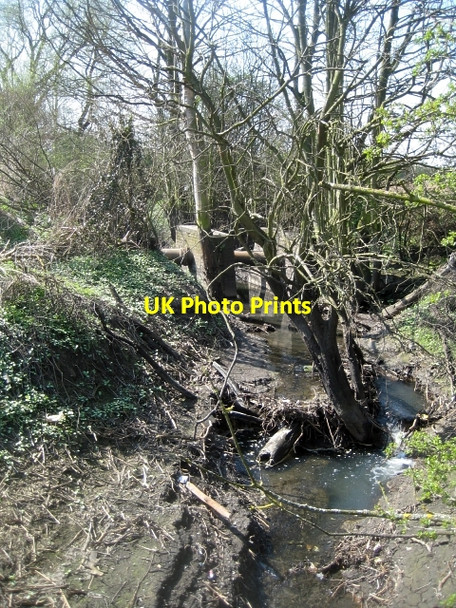 Photo 6"x4" Sewer pipe Bottom Boat c2010