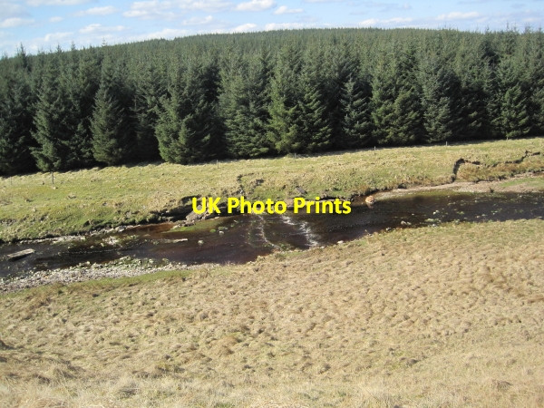 Photo 6"x4" River Irthing Bell's Braes c2010