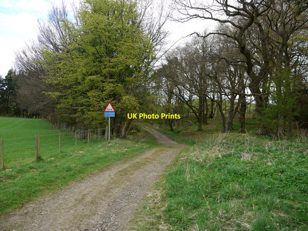 Photo 6"x4" Track to Ilderton Ilderton c2010
