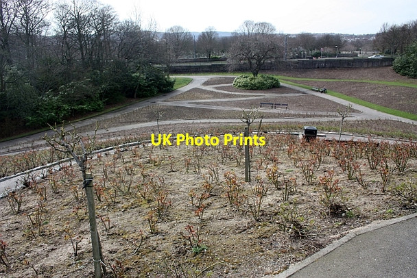 Photo 6"x4" The Rose Garden, Duthie Park Aberdeen\/NJ9206 c2010
