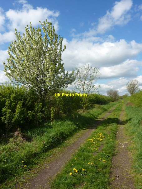 Photo 6"x4" Tinker Lane west of Barnby Moor Barnby Moor c2010
