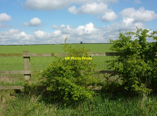 Photo 6"x4" Field north of Tinker Lane Barnby Moor c2010