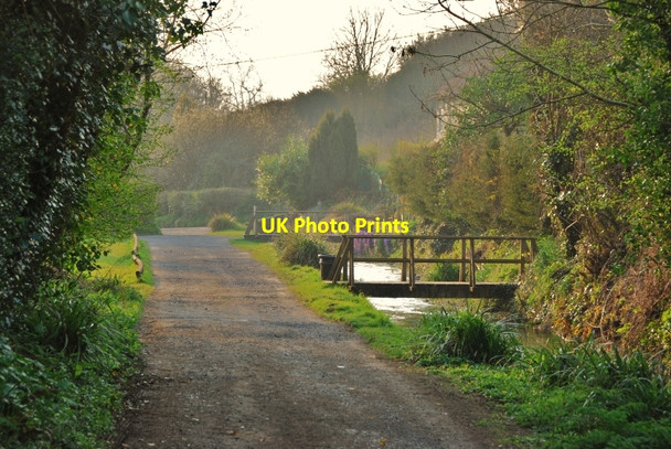Photo 6"x4" Littlebredy: Track alongside stream Littlebredy c2010