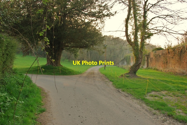 Photo 6"x4" Littlebredy: Lane junction by Walled Garden Littlebredy c2010
