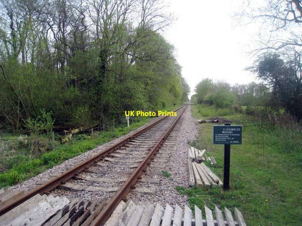 Photo 6"x4" Lavender Line Isfield c2010