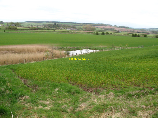 Photo 6"x4" Field with Pond Eckford c2010