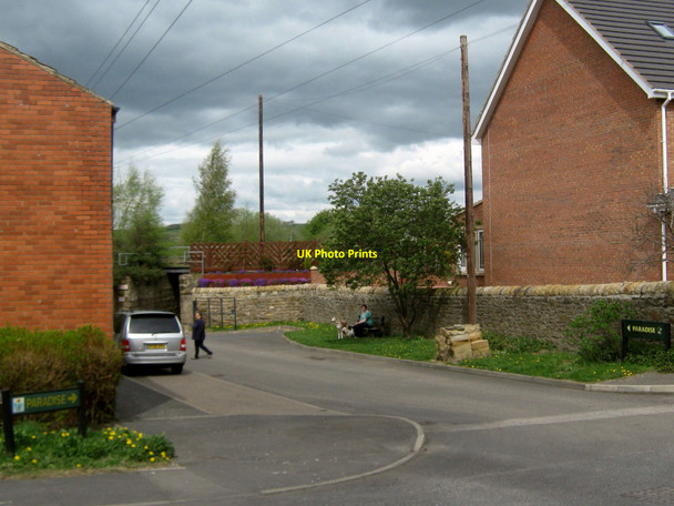 Photo 6"x4" Road to Paradise Witton Park Witton Park c2010