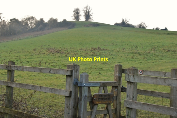 Photo 6"x4" Yeovil Country Park Yeovil c2010