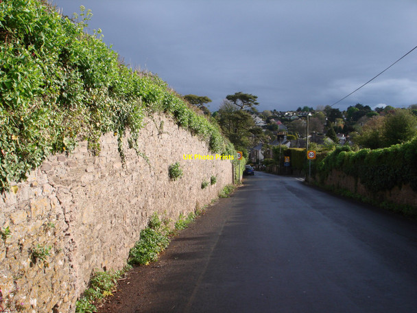 Photo 6"x4" Galmpton, Greenway Road Galmpton\/SX8956 c2010