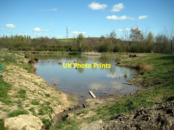 Photo 6"x4" Lofthouse Colliery Nature Park pond (1) Carr Gate c2010
