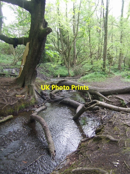 Photo 6"x4" Waterhead Brook downstream at Monarch's Way Bushbury\/SJ9203 c2010