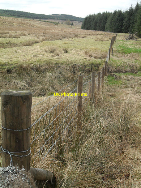 Photo 6"x4" In Watcarrick Forest Eskdalemuir c2010