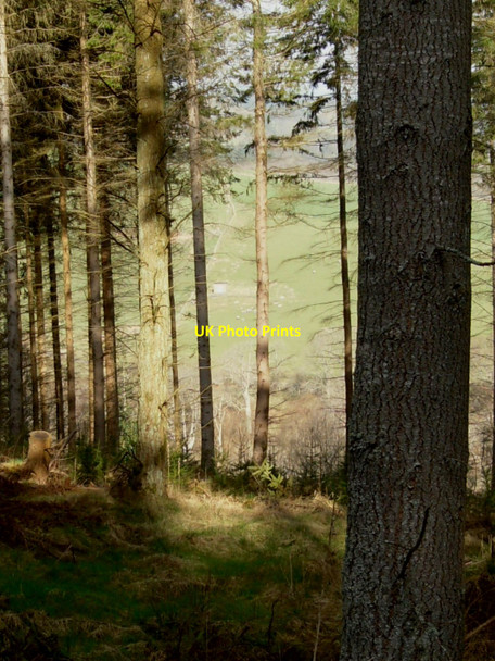 Photo 6"x4" Looking over to the Pump House on the Glenkinnon Burn Peel\/NT4335 c2010