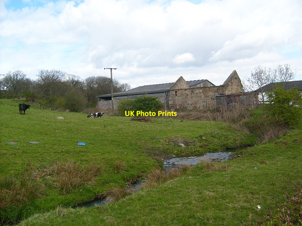 Photo 6"x4" Burnfoot Farm Airdrie\/NS7665 c2010
