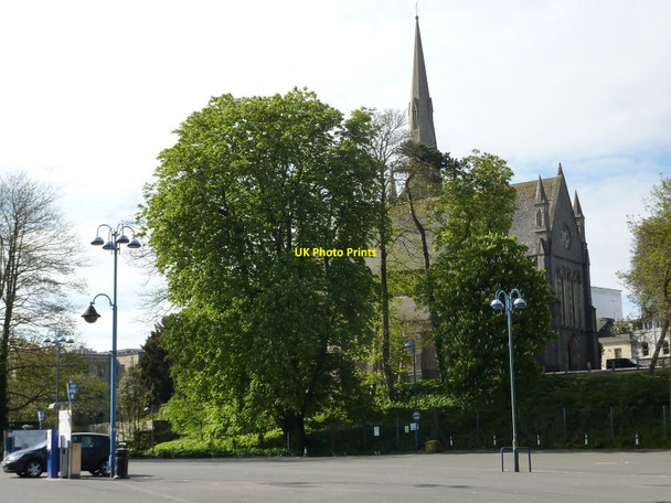 Photo 6"x4" Chestnut trees, Lymington Road car park, Torquay Torquay c2010