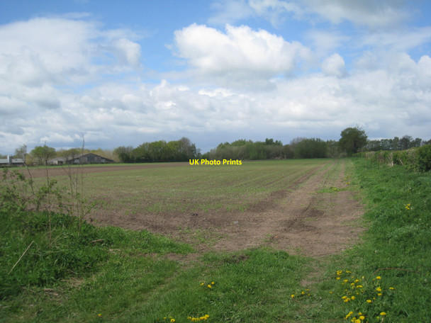 Photo 6"x4" Weddel Fields, North Scarle Girton\/SK8266 c2010