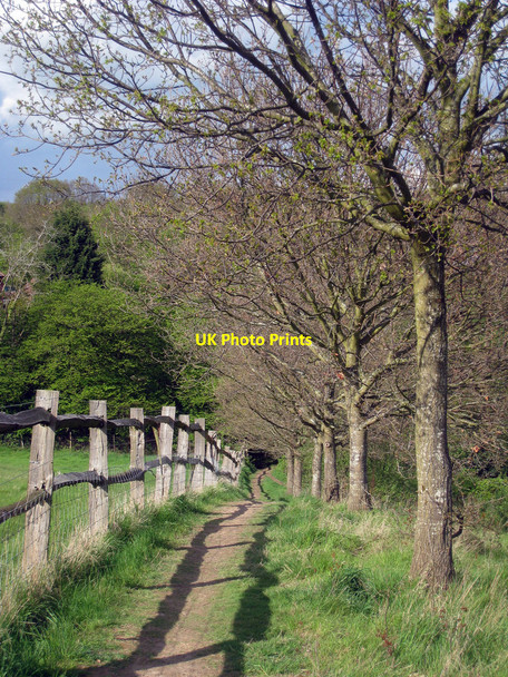 Photo 6"x4" Footpath to Bodiam Road Sandhurst\/TQ7928 c2010