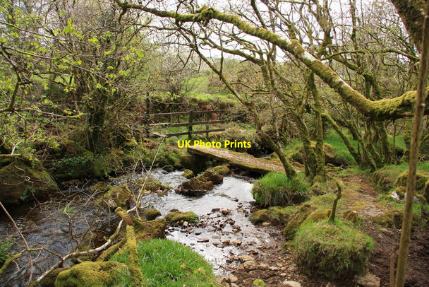 Photo 6"x4" Footbridge over Willsworthy Brook Horndon c2010
