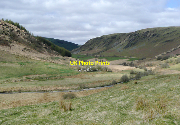Photo 6"x4" Cwm Tywi near Dolgoch, Ceredigion Nant Cwm-du\/SN7955 c2010