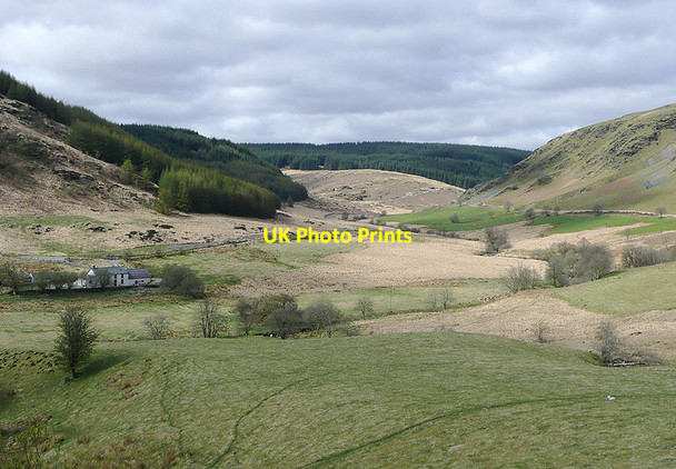 Photo 6"x4" Cwm Tywi near Dolgoch, Ceredigion Dolgoch\/SN8056 c2010