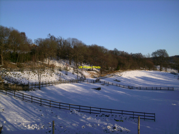 Photo 6"x4" Harrogate, Crimple Valley Rossett Green c2009