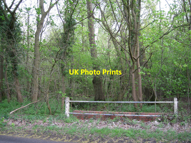 Photo 6"x4" Bridge over Horse Brook Littleworth\/SP2363 c2010