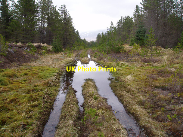 Photo 6"x4" A wet track in Corrour Forest Abhainn Ghuilbinn c2010