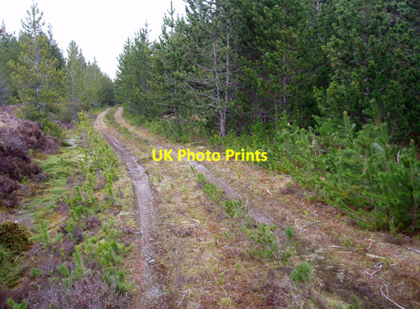 Photo 6"x4" Track in Corrour Forest Meallan Odhar\/NN4077 c2010