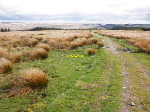 Photo 6"x4" Track towards Beardown Farm Two Bridges\/SX6075 c2010