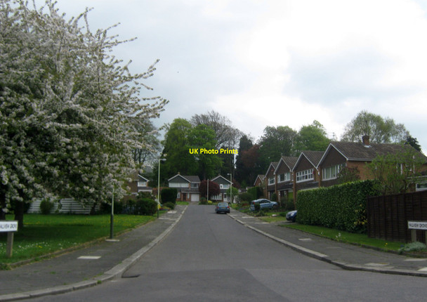 Photo 6"x4" Hallview Grove Darlington Darlington c2010