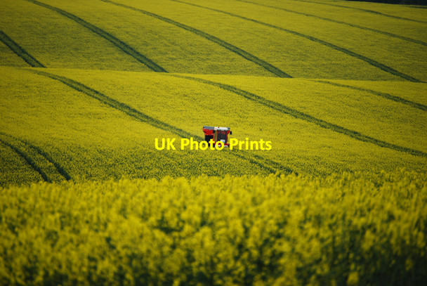 Photo 6"x4" Spraying Oilseed Rape near Barton Grange Barton-Upon-Humber c2010