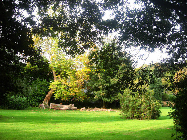 Photo 6"x4" Autumn Sunlight in Pontypool Park Pontypool\/Pont-y-pwl c2009