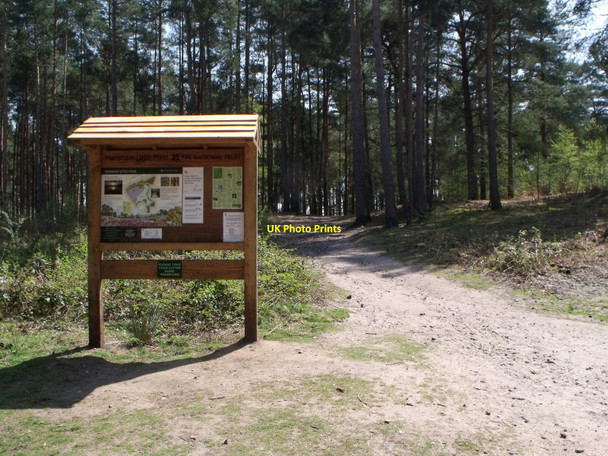 Photo 6"x4" Signboard for Little Frensham Pond near Farnham Frensham c2010
