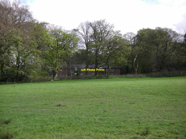 Photo 6"x4" House seen through trees, Kylnclough Ollerton Fold c2010