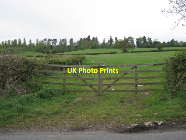 Photo 6"x4" Trees, Norton Curlieu Norton Lindsey c2010