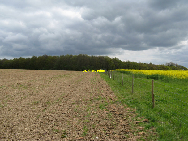 Photo 6"x4" Vanguard Way path to Hawkhurst Common Wood Hawkhurst Common c2010