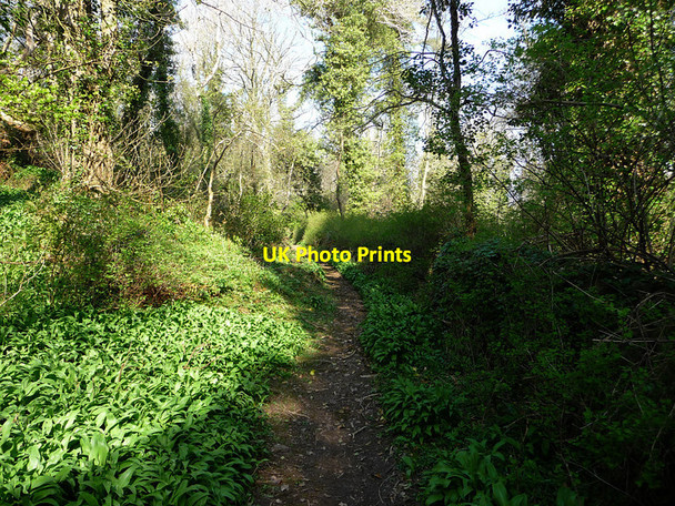 Photo 6"x4" Millennium Way, north of Ballasalla Ballasalla\/SC2870 c2010