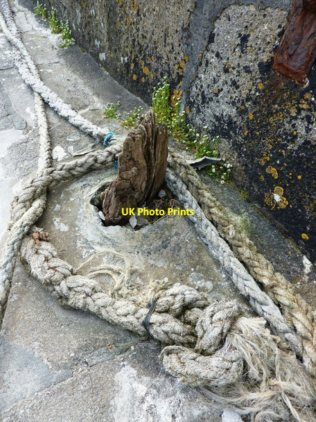 Photo 6"x4" Eroded and worn oak stump and old rope, Charlestown harbour St Austell c2010