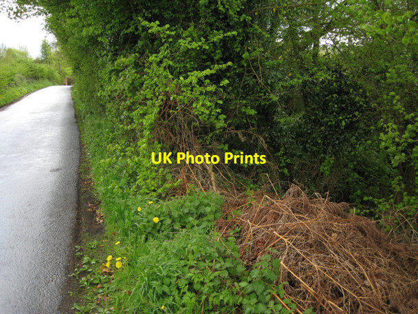 Photo 6"x4" A deep ditch by Norton Curlieu Lane Norton Lindsey c2010