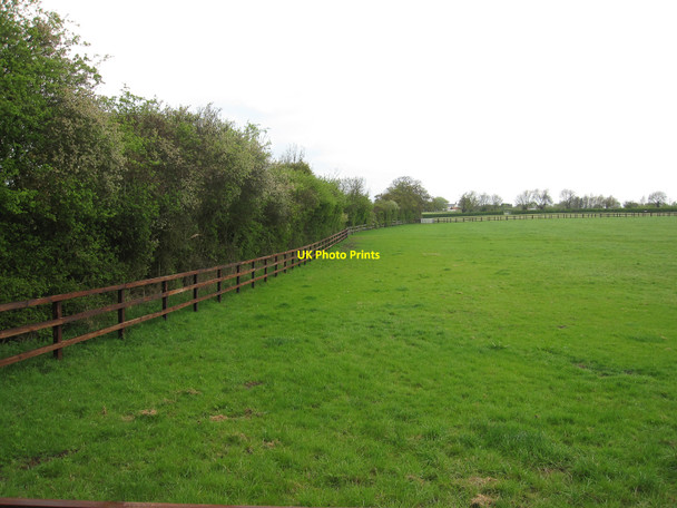 Photo 6"x4" Horse field Dullingham Ley c2010